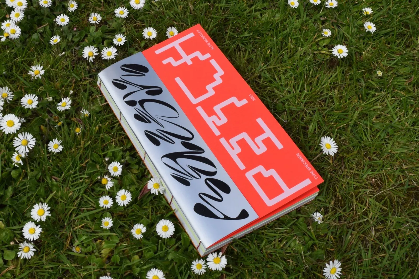 Printed book lying on grass among daisies